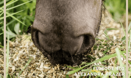 Banana Feeds Presents- Equine Nutrition with Alexandra Frazer